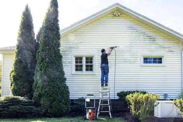 Best Dumpster Area Cleaning  in Hackensack, NJ